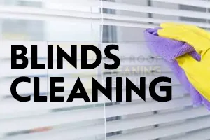 Blinds Cleaning