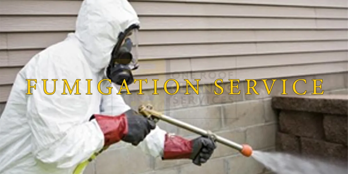 Fumigation Services in Karachi
