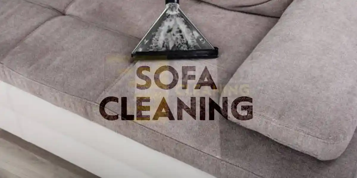 Sofa Cleaning
